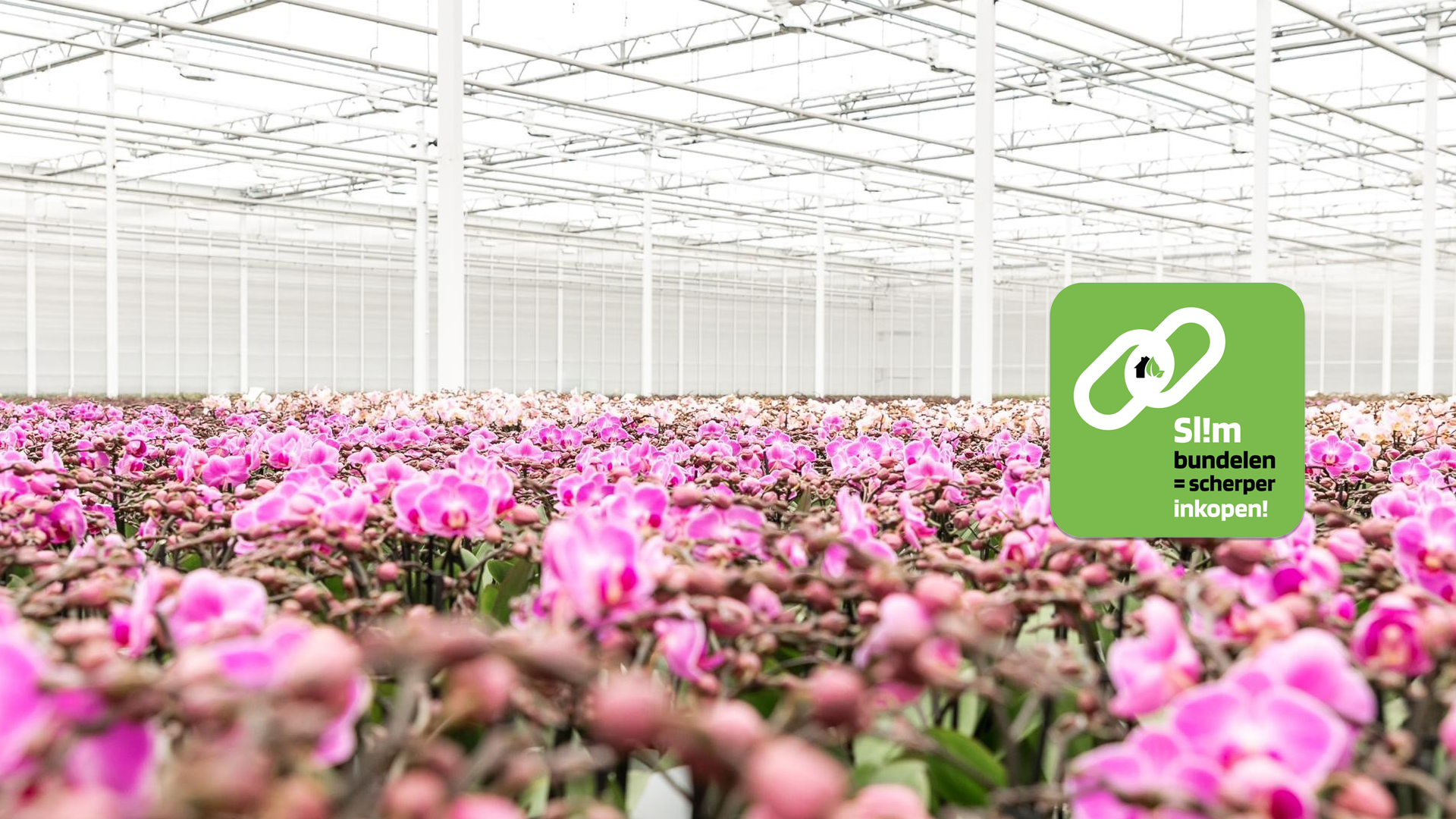 Picture for category Sl!m bundelen = scherper inkopen!